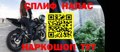 apvp Нальчик